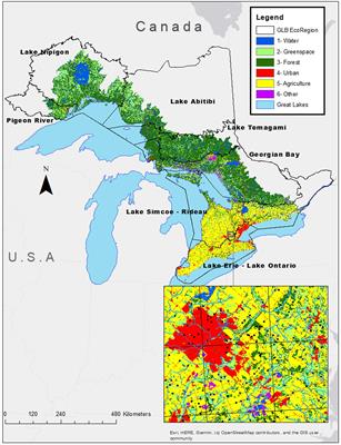 From headwaters to outlets: Bird species accrual curves are faster downstream with different implications for varying landcovers and ecoregions